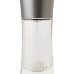 عطر ادکلن آرمانی مانیا جیورجیو آرمانی - Armani Mania Giorgio Armani - بررسی، قیمت و خرید