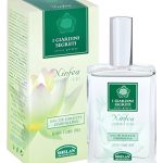 عطر ادکلن نینفیا هلن - Ninfea Helan - بررسی، قیمت و خرید
