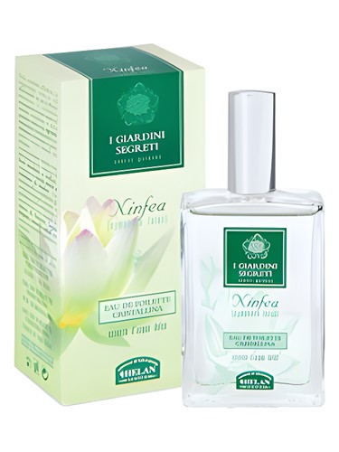 عطر ادکلن نینفیا هلن - Ninfea Helan - بررسی، قیمت و خرید