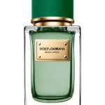عطر ادکلن ولوت سایپرس دولچه گابانا - Velvet Cypress Dolce&Gabbana - بررسی، قیمت و خرید