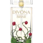 عطر ادکلن برایر دیوانه - Briar Divona - بررسی، قیمت و خرید