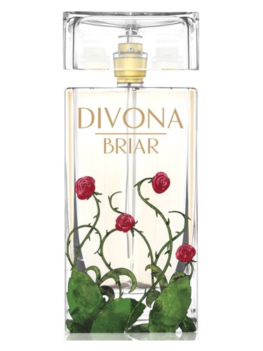عطر ادکلن برایر دیوانه - Briar Divona - بررسی، قیمت و خرید