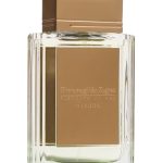 عطر ادکلن ویزدوم ارمنگیلدو زینیا - Wisdom Ermenegildo Zegna - بررسی، قیمت و خرید