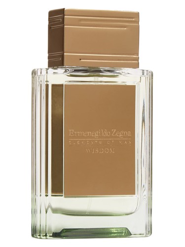 عطر ادکلن ویزدوم ارمنگیلدو زینیا - Wisdom Ermenegildo Zegna - بررسی، قیمت و خرید