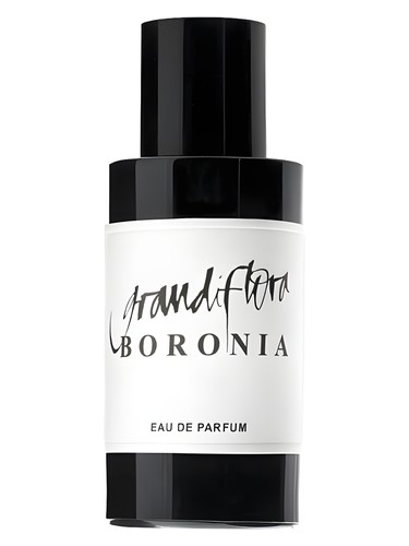 عطر ادکلن بورونیا گرندیفلورا - Boronia Grandiflora - بررسی، قیمت و خرید