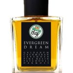 عطر ادکلن اِوِرگرین دِریم گالاگر فراگرنسز - Evergreen Dream Gallagher Fragrances - بررسی، قیمت و خرید