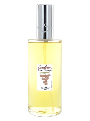 عطر ادکلن لمبروس هیلده سولیانی - Lambrosc Hilde Soliani - بررسی، قیمت و خرید