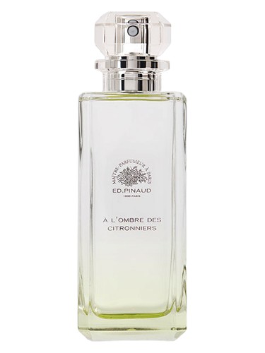 عطر ادکلن آ لُومبره دِ سیترُنیِ اد پینود - A l'Ombre des Citronniers Ed Pinaud - بررسی، قیمت و خرید