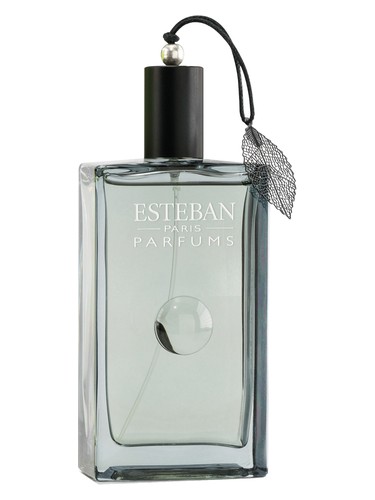 عطر ادکلن سونژ دو یوزو اِستبان - Songe de Yuzu Esteban - بررسی، قیمت و خرید