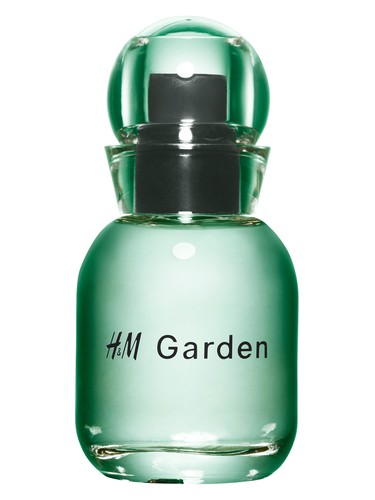عطر ادکلن اچ اند ام گاردن - سان لیت دیو اچ اند ام - H&M Garden - Sunlit dew H&M - بررسی، قیمت و خرید