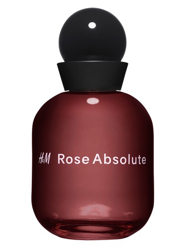 عطر ادکلن اچ اند ام رز ابسولوت اچ اند ام - H&M Rose Absolute H&M - بررسی، قیمت و خرید