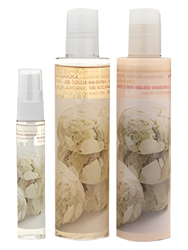عطر ادکلن ماندورلا دبورا - Mandorla Deborah - بررسی، قیمت و خرید