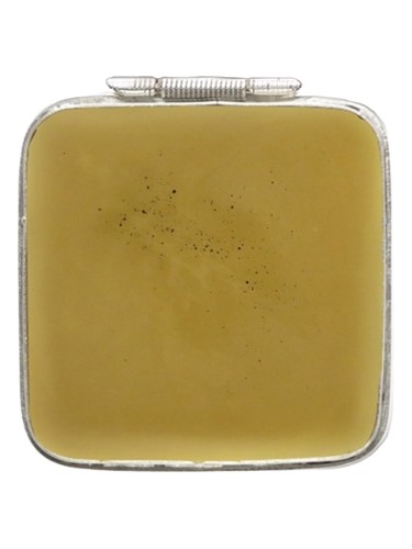 عطر ادکلن آنتیک امبرگریس افتلیه - Antique Ambergris Aftelier - بررسی، قیمت و خرید