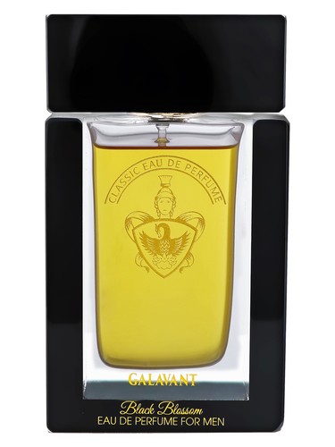 عطر ادکلن بِلَک بِلُسام گَلوَنت - Black Blossom Galavant - بررسی، قیمت و خرید