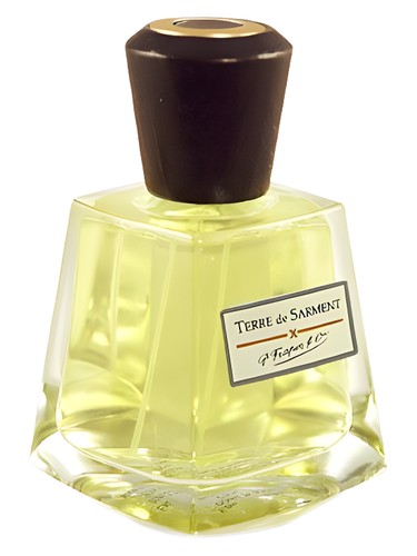 عطر ادکلن تر د سارمان فرپین - Terre de Sarment Frapin - بررسی، قیمت و خرید