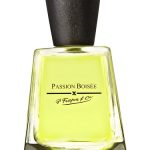 عطر ادکلن پسیون بوازی فراپن - Passion Boisee Frapin - بررسی، قیمت و خرید