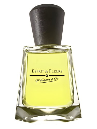 عطر ادکلن اسپریت دو فلورز فرپین - Esprit de Fleurs Frapin - بررسی، قیمت و خرید