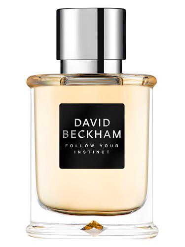 عطر ادکلن فالو یور اینستینکت دیوید بکهام - Follow Your Instinct David Beckham - بررسی، قیمت و خرید