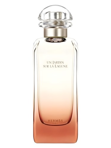 عطر ادکلن اون ژردن سور لا لاگون اِرمِس - Un Jardin Sur La Lagune Hermès - بررسی، قیمت و خرید