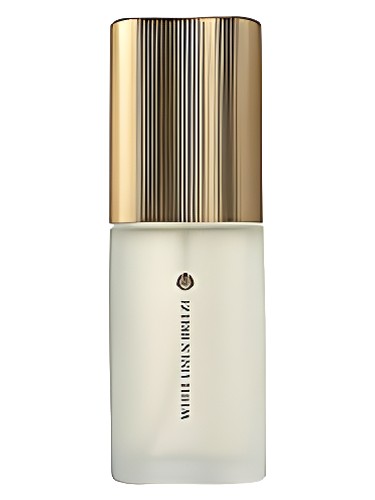 عطر ادکلن وایت لینن بریز اِستِه لَودِر - White Linen Breeze Estée Lauder - بررسی، قیمت و خرید