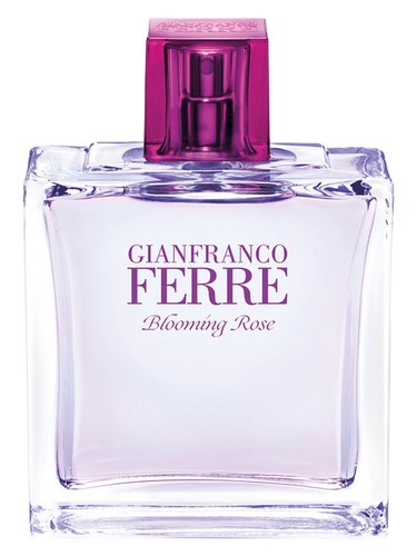 عطر ادکلن بلومینگ رز جیانفرانکو فره - Blooming Rose Gianfranco Ferre - بررسی، قیمت و خرید