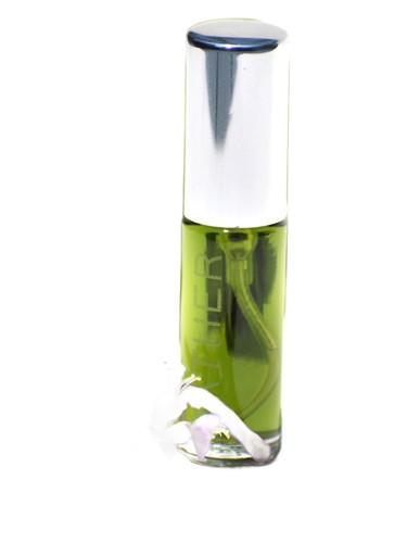 عطر ادکلن بِیزِل گده پرفیوم - Basil Gather Perfume - بررسی، قیمت و خرید