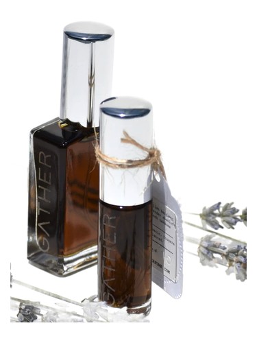 عطر ادکلن لاوندر فوژر گدر پرفیوم - Lavender Fougere Gather Perfume - بررسی، قیمت و خرید