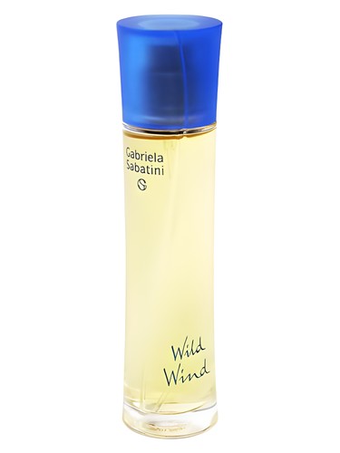 عطر ادکلن وایلد ویند گابریلا ساباتینی - Wild Wind Gabriela Sabatini - بررسی، قیمت و خرید