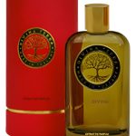 عطر ادکلن دیویِنا زیرو وان دیویینا ترا - 01 Divina DiVina Terra - بررسی، قیمت و خرید