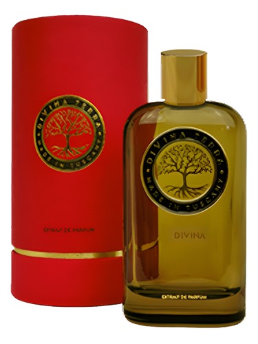 عطر ادکلن دیویِنا زیرو وان دیویینا ترا - 01 Divina DiVina Terra - بررسی، قیمت و خرید