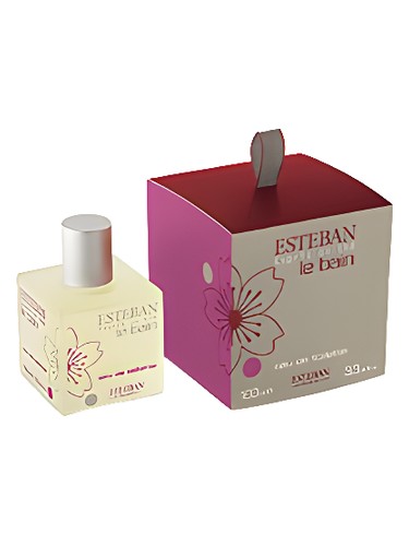 عطر ادکلن اسپریت د ته استبان - Esprit de Thé Esteban - بررسی، قیمت و خرید
