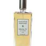 عطر ادکلن سیبریَن فیر اِووکِیتیو پِرفیومز - Siberian Fir Evocative Perfumes - بررسی، قیمت و خرید