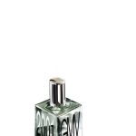 عطر ادکلن جی‌ام‌وی دوهزار و یک جیانمارکو ونتوری - GMV 2001 GianMarco Venturi - بررسی، قیمت و خرید