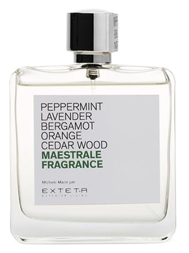 عطر ادکلن مایستراله فراگرنس اکستتا - Maestrale Fragrance Exteta - بررسی، قیمت و خرید