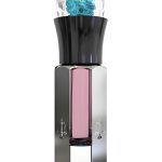 عطر ادکلن ماسک ابسولو النبیل - Musc Absolu El Nabil - بررسی، قیمت و خرید