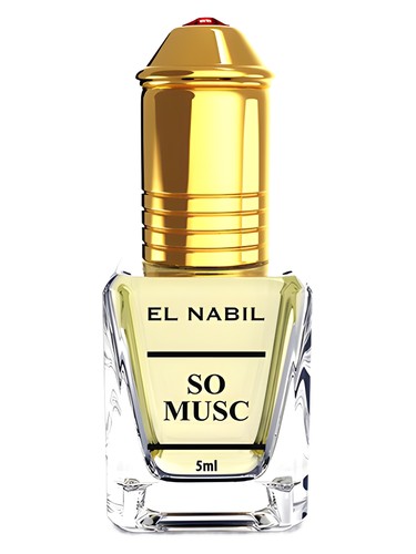 عطر ادکلن سو ماسک ال نبیل - So Musk El Nabil - بررسی، قیمت و خرید