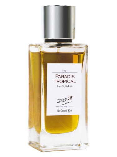 عطر ادکلن پارادیس تروپیکال دیکزیت اند زک - Paradis Tropical Dixit & Zak - بررسی، قیمت و خرید