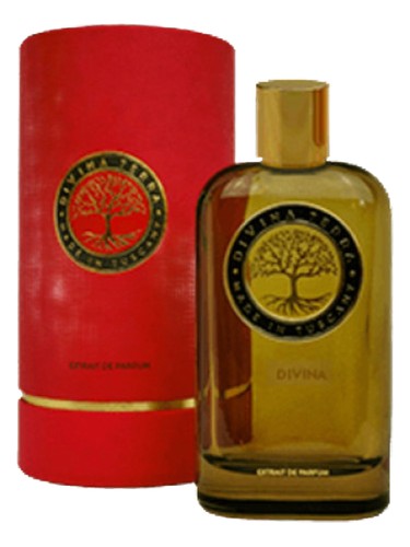 عطر ادکلن تن بلزا دیوینا ترا - 10 Bellezza DiVina Terra - بررسی، قیمت و خرید