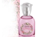 عطر ادکلن آیکونیکا هلن - Iconica Helan - بررسی، قیمت و خرید