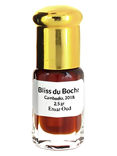 عطر ادکلن بلیس دو بوچ اوود انصار عود - Bliss du Boche Oud Ensar Oud - بررسی، قیمت و خرید
