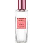 عطر ادکلن بلاشینگ هولیکا هولیکا - Blushing Holika Holika - بررسی، قیمت و خرید