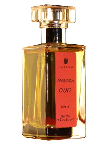 عطر ادکلن انگورا عود گالوپ پرفیوم - Angora Oud Gallup Perfume - بررسی، قیمت و خرید