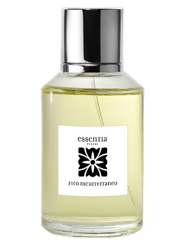 عطر ادکلن فیکو مدیترانه ای اسنشیای پولیا - Fico Mediterraneo Essentia Puglia - بررسی، قیمت و خرید