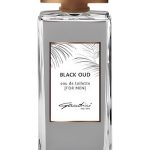عطر ادکلن بلک عود گاندینی ۱۸۹۶ - Black Oud Gandini 1896 - بررسی، قیمت و خرید