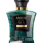 عطر ادکلن امبر آف د سی هابیبی نیویورک - Ambre Of The Sea Habibi NY - بررسی، قیمت و خرید