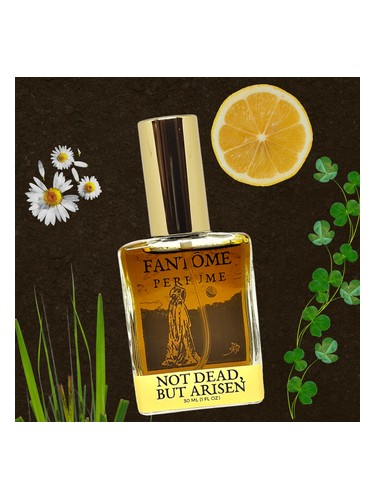 عطر ادکلن نات دد بات اریسِن فانتوم - Not Dead, but Arisen Fantôme - بررسی، قیمت و خرید