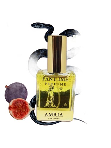 عطر ادکلن امریا فانتوم - Amria Fantôme - بررسی، قیمت و خرید