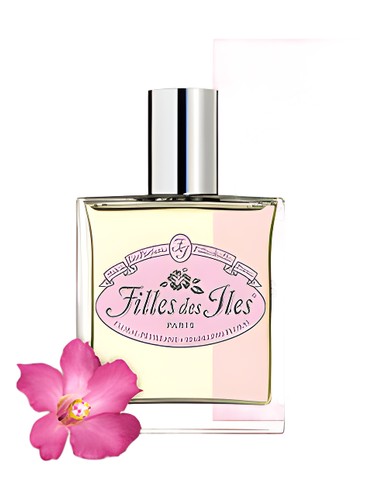 عطر ادکلن فلورال پتیلانت فی دِ ایل - Floral Pettilant Filles des Iles - بررسی، قیمت و خرید