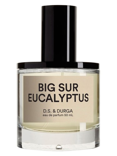 عطر ادکلن بیگ سور یوکالیپتوس دی‌اس‌اند‌دورگا - Big Sur Eucalyptus DS&Durga - بررسی، قیمت و خرید
