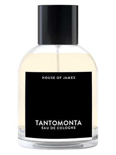 عطر ادکلن تنتمونتا هاوس آف جیمز - Tantomonta House Of James - بررسی، قیمت و خرید